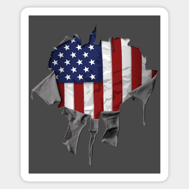 Patriotic American Flag Sticker by eBrushDesign